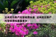 沧州竞价账户托管收费标准  沧州竞价账户托管收费标准是多少