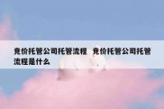 竞价托管公司托管流程  竞价托管公司托管流程是什么