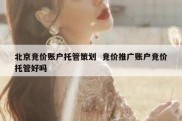 北京竞价账户托管策划  竞价推广账户竞价托管好吗