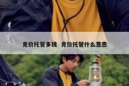 竞价托管多钱  竞价托管什么意思