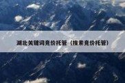 湖北关键词竞价托管（搜索竞价托管）