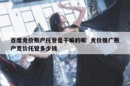 百度竞价账户托管是干嘛的呢  竞价推广账户竞价托管多少钱