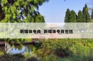 新媒体电商  新媒体电商包括