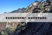 竞价托管员如何推广  竞价托管专业团队