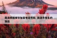 商洛网络餐饮加盟电话号码  商洛市有名的饭店
