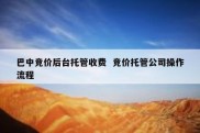 巴中竞价后台托管收费  竞价托管公司操作流程