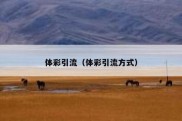 体彩引流（体彩引流方式）