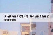 黄山搜狗竞价托管公司  黄山搜狗竞价托管公司有哪些