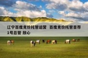 辽宁百度竞价托管运营  百度竞价托管首荐1号总管 放心