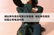 湖北神马竞价托管公司电话  湖北神马竞价托管公司电话号码