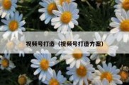 视频号打造（视频号打造方案）