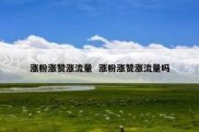 涨粉涨赞涨流量  涨粉涨赞涨流量吗
