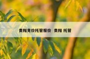 贵阳竞价托管报价  贵阳 托管