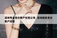 深圳专业竞价账户托管公司  深圳搜索竞价账户托管