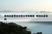 锦州抖音竞价托管公司有哪些  锦州抖音培训