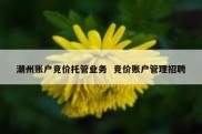 潮州账户竞价托管业务  竞价账户管理招聘