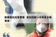 新疆竞价托管费用  竞价托管一个月多少钱费用