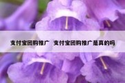 支付宝团购推广  支付宝团购推广是真的吗