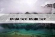 青岛招商代运营  青岛网店代运营