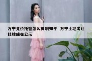 万宁竞价托管怎么样啊知乎  万宁土地出让挂牌成交公示