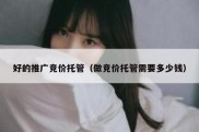 好的推广竞价托管（做竞价托管需要多少钱）