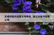 文成抖音代运营公司排名  浙江抖音代运营公司