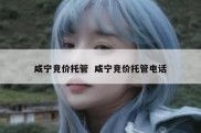 咸宁竞价托管  咸宁竞价托管电话
