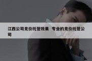 江西公司竞价托管效果  专业的竞价托管公司