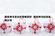 西安神马竞价托管哪家好  西安神马科技有限公司