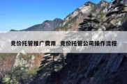 竞价托管推广费用  竞价托管公司操作流程