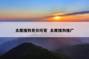 太原搜狗竞价托管  太原搜狗推广