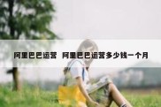 阿里巴巴运营  阿里巴巴运营多少钱一个月