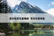 竞价托管文案情绪  竞价托管特色