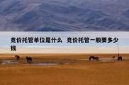 竞价托管单位是什么  竞价托管一般要多少钱