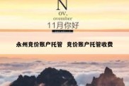 永州竞价账户托管  竞价账户托管收费