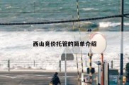 西山竞价托管的简单介绍