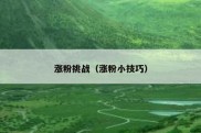 涨粉挑战（涨粉小技巧）