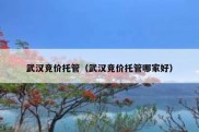 武汉竞价托管（武汉竞价托管哪家好）