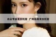 白云专业竞价托管  广州百度竞价托管