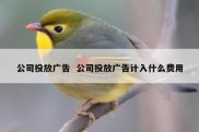 公司投放广告  公司投放广告计入什么费用
