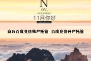 商丘百度竞价账户托管  百度竞价开户托管