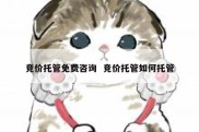 竞价托管免费咨询  竞价托管如何托管