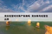 竞价托管对方账户有用吗  竞价账号托管怎么样