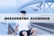 随州竞价托管是干嘛的  竞价托管如何托管