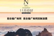 竞价推广如何  竞价推广如何控制消费
