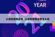 小波短视频运营  小波短视频运营怎么样
