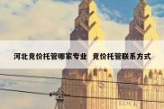 河北竞价托管哪家专业  竞价托管联系方式