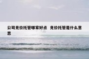 公司竞价托管哪家好点  竞价托管是什么意思