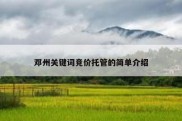 邓州关键词竞价托管的简单介绍