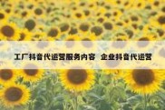 工厂抖音代运营服务内容  企业抖音代运营